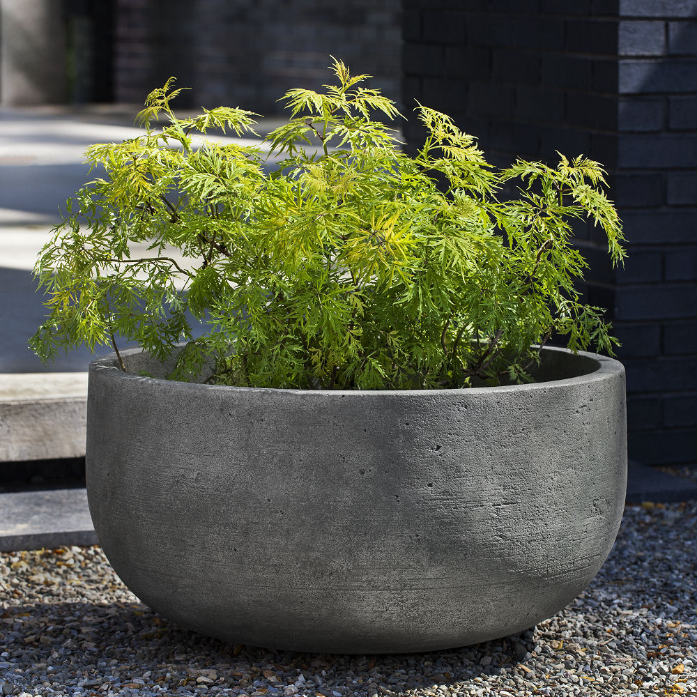 modern outdoor pot plants